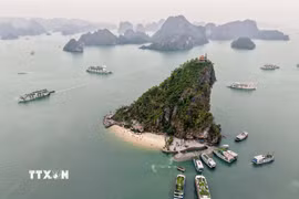 Kỳ quan thiên nhiên thế giới Vịnh Hạ Long. (Nguồn: TTXVN)