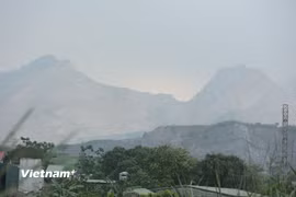 (Ảnh minh họa. Nguồn: Vietnam+)