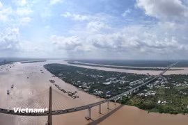 Phát triển bền vững khu vực Đồng bằng sông Cửu Long. (Ảnh: Hoài Nam/Vietnam+)
