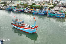 (Ảnh minh họa: Vũ Sinh/TTXVN)