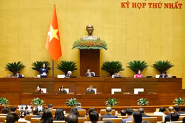 Phiên họp sáng 24/4. (Ảnh: Doãn Tấn/TTXVN)