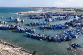 Cần thực thi quyết liệt từ cơ sở để gỡ "thẻ vàng" IUU. (Ảnh: Hoài Nam/Vietnam+)