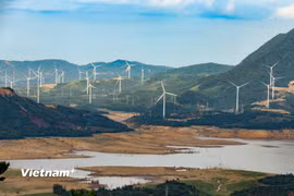 “Việt Nam đã loại trừ thành công nhiều chất làm suy giảm tầng ozone”