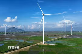 (Ảnh minh họa: TTXVN)