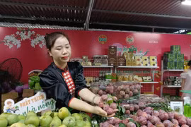 Các chương trình kết nối tiêu thụ nông sản đã tạo ra sức hấp dẫn với người tiêu dùng Thủ đô. (Ảnh: Đức Duy/Vietnam+)