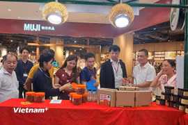 Các đại biểu đi tham quan các gian hàng tại Hội chợ xúc tiến thương mại nông nghiệp, sản phẩm OCOP năm 2025. (Ảnh: Hùng Võ/Vietnam+)