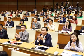 Kỳ họp thứ nhất, Quốc hội khóa XVI. (Nguồn: TTXVN) 