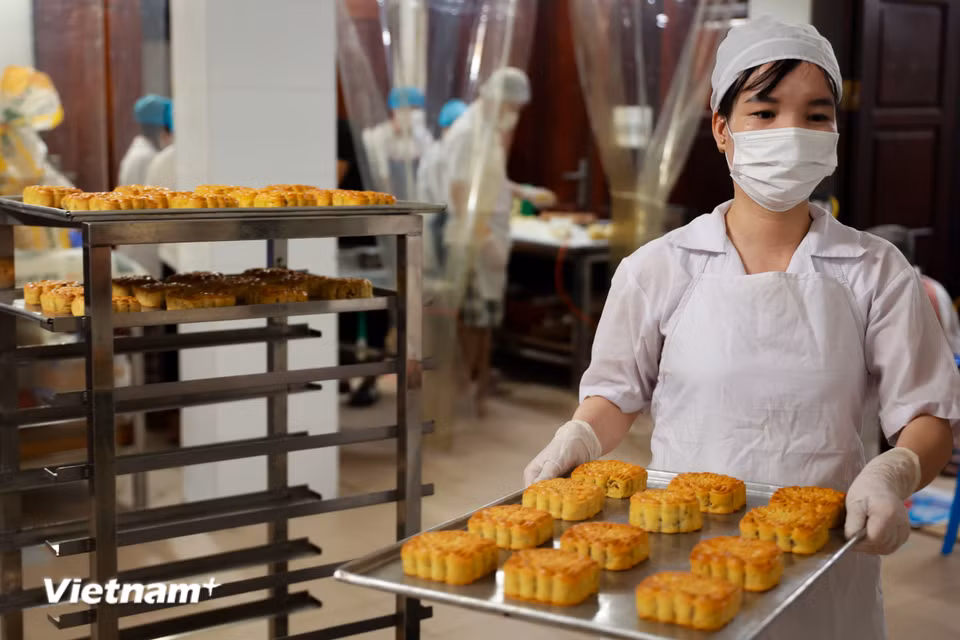 Chủ cơ sở cho biết, mỗi mẻ sản xuất được 50-60 bánh, những ngày cao điểm trong mùa có thể sản xuất được khoảng 1.000 bánh. (Ảnh: Hoài Nam/Vietnam+)