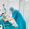 Tiến sỹ Đinh Văn Lượng khám cho bệnh nhân sau ca ghép phổi. (Ảnh: T.G/Vietnam+)