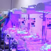 Điều dưỡng chăm sóc trẻ sơ sinh bệnh lý tại Trung tâm sơ sinh (Bệnh viện Phụ sản Trung ương). (Ảnh: Minh Quyết/TTXVN)