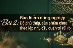 Thực trạng bảo hiểm nông nghiệp tại Việt Nam, những rào cản và hướng đi nhằm mở rộng thị trường và nâng cao hiệu quả bảo vệ nông dân. (Ảnh: AI)