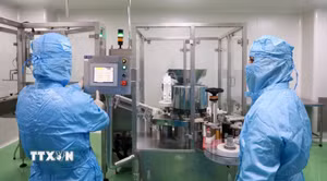 Khánh Hòa tạo lực hút nhân tài cho phát triển khoa học, công nghệ