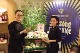 Lạng Sơn đã mạnh dạn đưa quả na lên các sàn thương mại điện tử để quảng bá (Ảnh: CTV/Vietnam+)