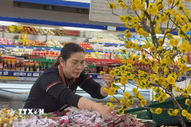 Người dân lựa chọn hàng hóa tại các siêu thị. (Ảnh: Đinh Hương/TTXVN)