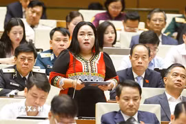 Đại biểu Quốc hội tỉnh Khánh Hòa Chamaléa Thị Thủy phát biểu tại Quốc hội sáng ngày 21/4. (Ảnh: Doãn Tấn/TTXVN)