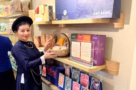 Thực tế đã chứng minh, khi có sự liên kết vùng và chuỗi dọc, nông nghiệp miền núi hoàn toàn có thể bứt phá. (Ảnh: PV/Vietnam+)