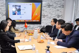 Bộ trưởng Bộ Công Thương Việt Nam Nguyễn Hồng Diên điện đàm với Bộ trưởng Bộ Ngoại thương Costa Rica Manuel Tovar Rivera. (Ảnh: BCT/Vietnam+)