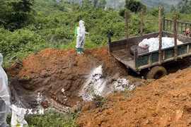 Ảnh minh họa. (Nguồn: TTXVN)