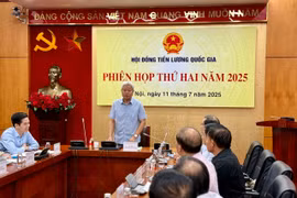 (Ảnh: PV/Vietnam+)