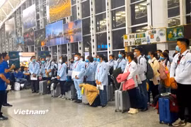 Lao động làm thủ tục đi làm việc ở nước ngoài. (Ảnh: PV/Vietnam+)