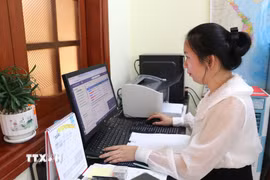 (Ảnh minh họa. Đinh Hương/TTXVN)