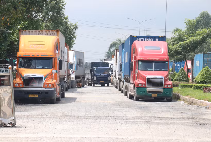 Hàng loạt xe container dừng đỗ kín hai bên đường, gây cản trở cho các phương tiện ra vào cửa khẩu. (Ảnh: Bùi Giang/TTXVN)