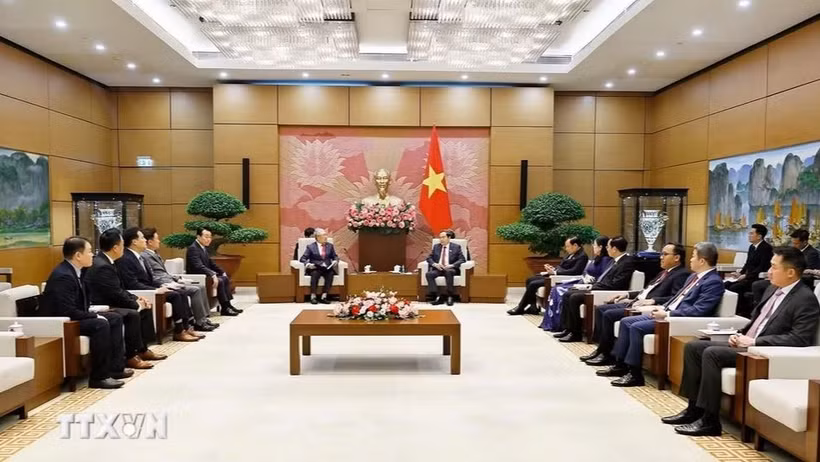 Chủ tịch Quốc hội Trần Thanh Mẫn tiếp Đoàn Hội Hữu nghị Hàn Quốc-Việt Nam do ông Lee Shin Jae, Chủ tịch Công ty Dệt may Hansoll, Chủ tịch Hội Hữu nghị Hàn Quốc-Việt Nam làm trưởng đoàn. (Ảnh: Doãn Tấn/TTXVN)