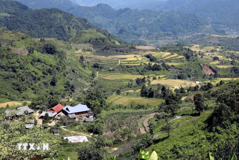 Từ trên bản Lao Chải, du khách phóng tầm mắt ra xa ngắm nhìn những thửa ruộng lúa bậc thang cùng thiên nhiên hùng vĩ. (Ảnh: Quý Trung/TTXVN)