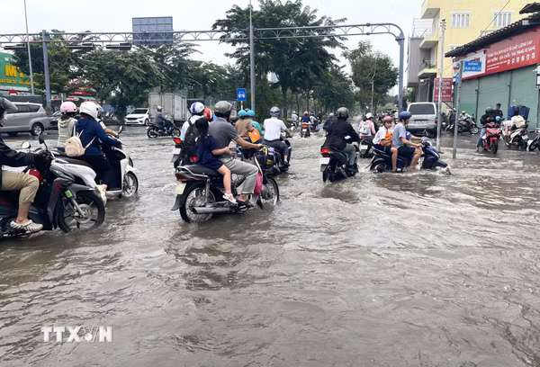TP Hồ Chí Minh chủ động ứng phó đỉnh triều vượt báo động 3 vào cuối tháng 10