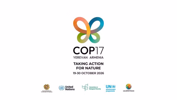COP17: Đàm phán vẫn bế tắc khi bước vào giai đoạn cuối