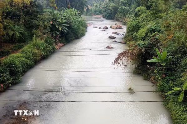 Vịt chết bất thường khi nước sông Cầu đổi màu tại Thái Nguyên