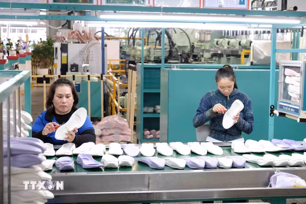 Cần Thơ nâng cao chất dòng vốn FDI, tạo động lực tăng trưởng mới