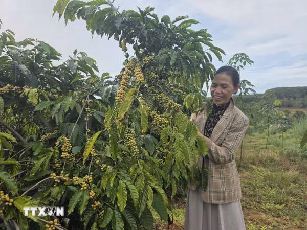 UNDP ghi nhận Việt Nam thuộc nhóm giảm nghèo đa chiều nhanh trên thế giới