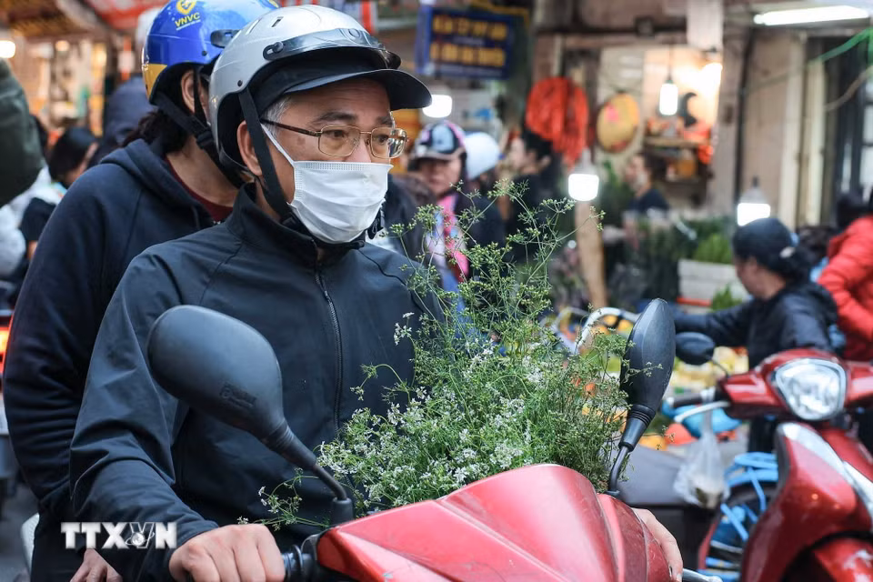 Mua mùi già trong phiên chợ cuối năm là một phong tục truyền thống được nhiều gia đình gìn giữ mỗi dịp Tết đến xuân về. (Ảnh: Hoàng Hiếu/TTXVN)