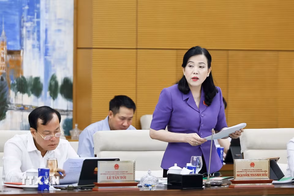 Chủ nhiệm Ủy ban Khoa học, Công nghệ và Môi trường của Quốc hội Nguyễn Thanh Hải phát biểu. (Ảnh: Doãn Tấn/TTXVN)