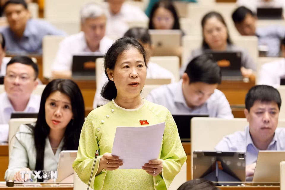 Đại biểu Quốc hội thành phố Cần Thơ Tô Ái Vang phát biểu. (Ảnh: Doãn Tấn/TTXVN)