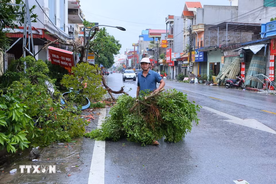 Người dân dọn dẹp cây cối. (Ảnh: Công Luật/TTXVN)