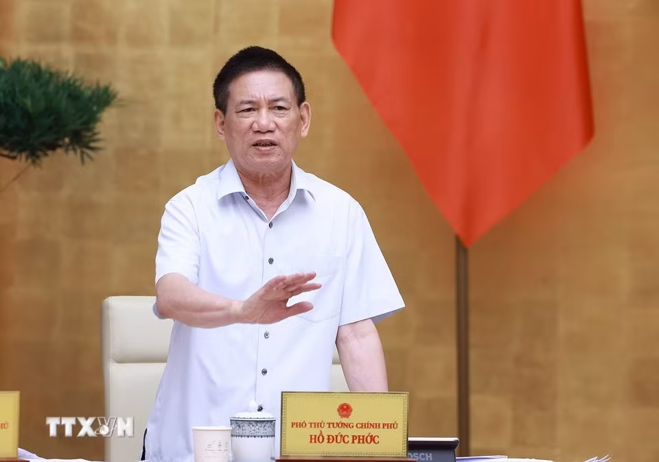 Phó Thủ tướng Hồ Đức Phớc phát biểu. (Ảnh: Dương Giang/TTXVN)