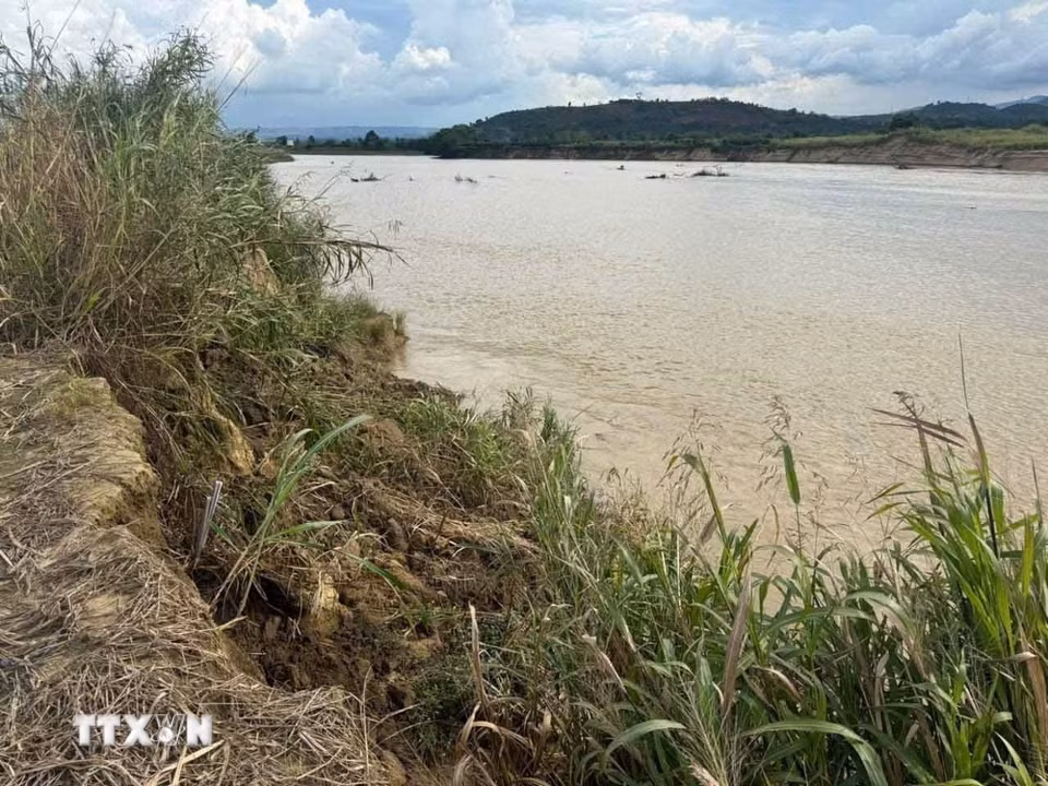 Một đoạn sông Krông Nô đi qua xã Nam Ka thường xuyên bị sạt lở vì nhiều nguyên nhân, trong đó có nguyên nhân lòng sông chịu cảnh khai thác cát liên tục quá mức, trong khi nguồn cát bổ sung bị chặn lại phía thượng nguồn hồ thủy điện. (Ảnh: Kha Phạm/TTXVN)