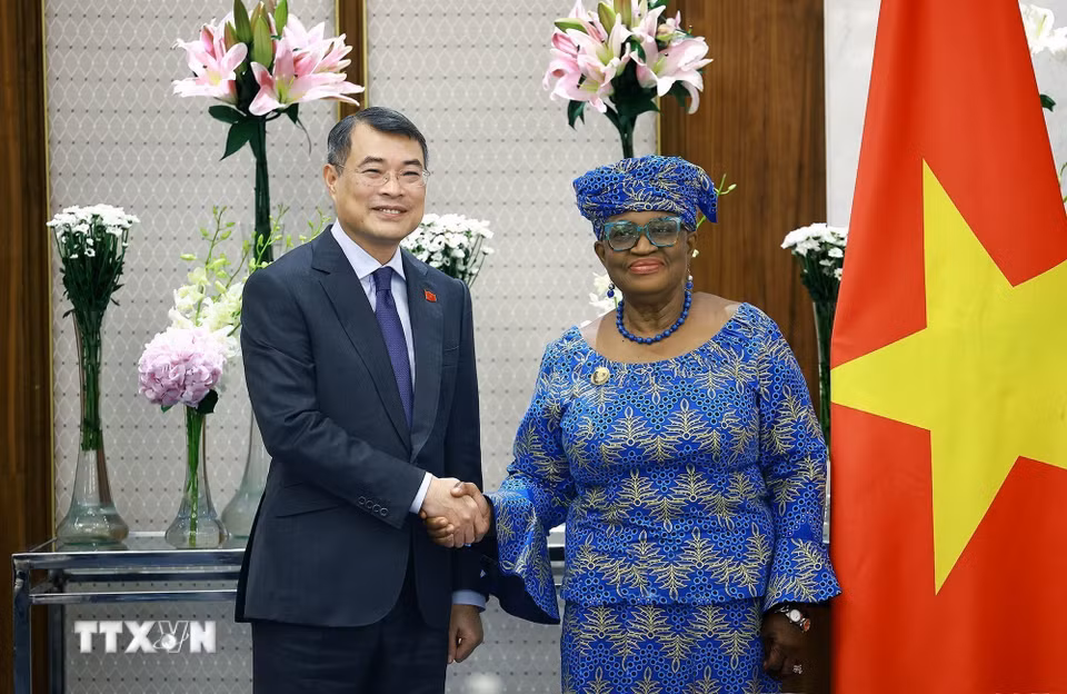 Thủ tướng Chính phủ Lê Minh Hưng tiếp bà Ngozi Okonjo-Iweala, Tổng Giám đốc Tổ chức Thương mại Thế giới (WTO). (Ảnh: Dương Giang/TTXVN)