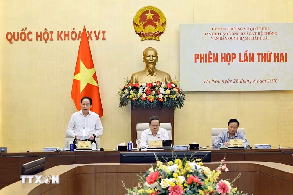 Phó Thủ tướng Chính phủ Lê Tiến Châu, Phó Trưởng ban Thường trực Ban Chỉ đạo phát biểu. (Ảnh: Doãn Tấn/TTXVN)