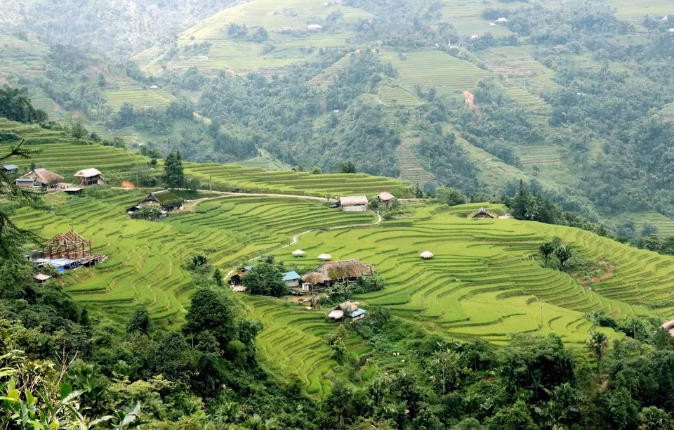 Những ngôi nhà với mái rêu phong xanh, nơi núi rừng vùng biên giới Thanh Thủy (Tuyên Quang). (Ảnh: Đức Thọ/TTXVN)
