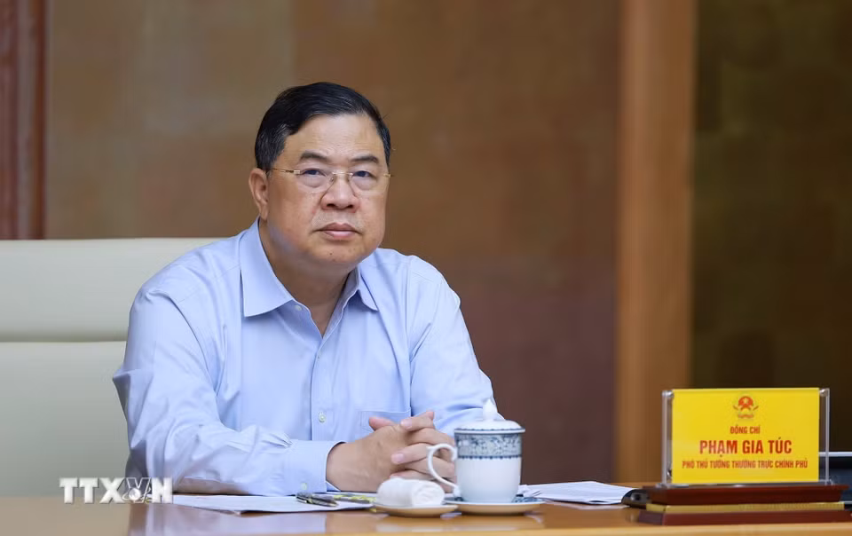Phó Thủ tướng Thường trực Phạm Gia Túc phát biểu. (Ảnh: Dương Giang/TTXVN)