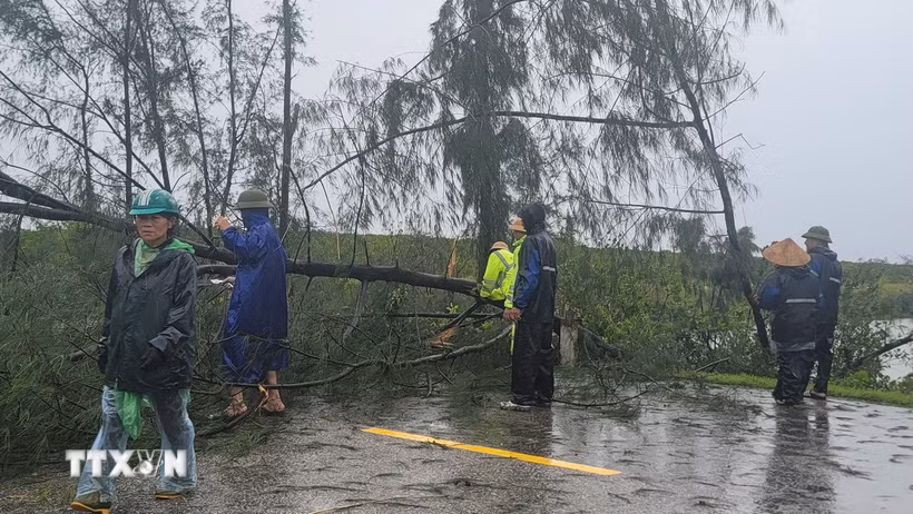 Ảnh minh họa: Lực lượng cảnh sát giao thông và người dân dọn dẹp cây ngã đổ trên đường. (Ảnh: Hoàng Ngà/ TTXVN)