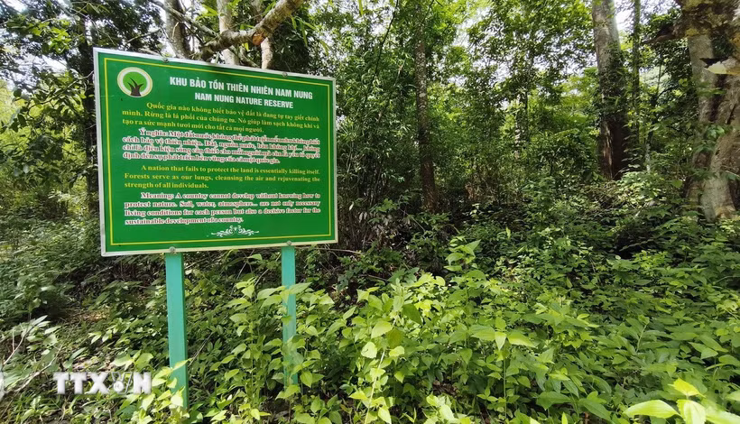 Một khu vực rừng thuộc Khu bảo tồn thiên nhiên Nam Nung (xã Nam Đà, tỉnh Lâm Đồng). (Ảnh: Nguyễn Huy Thành/TTXVN)