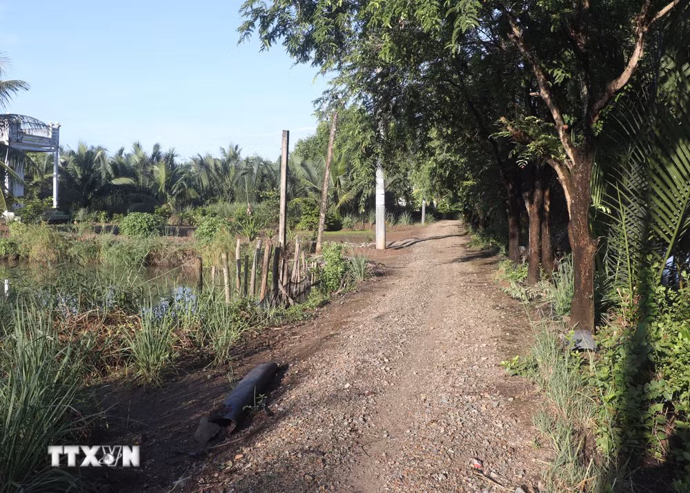 ttxvn_ca-mau-dong-loat-to-chuc-le-khoi-cong-xay-dung-giao-thong-nong-thon-9088673.jpg