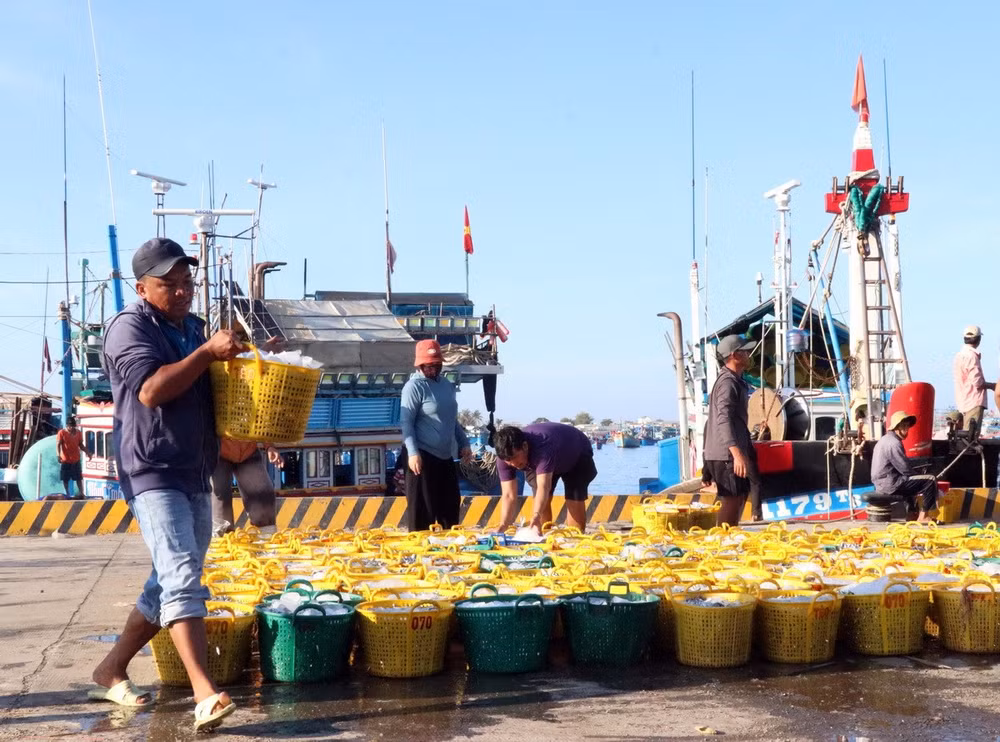 ninh-thuan-4-resize.jpg