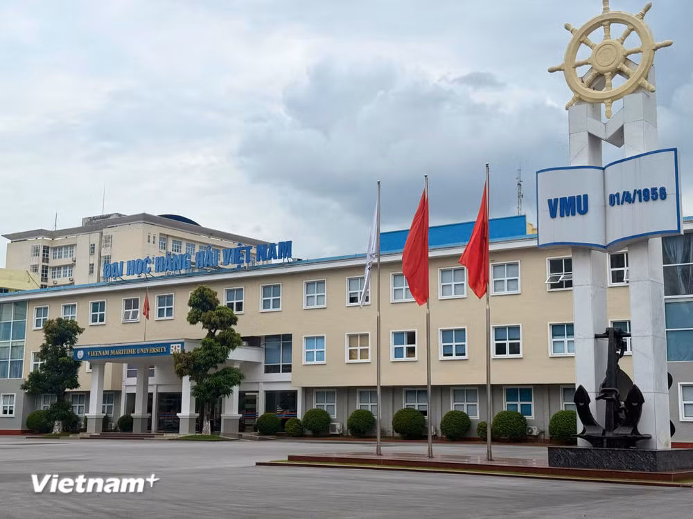 vnp-dai-hoc-hang-hai.jpg