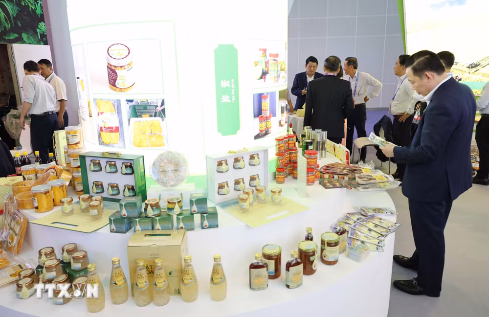 ttxvn-tinh-an-giang-tham-gia-khu-trung-bay-cac-thanh-pho-quyen-ru-tai-caexpo-2026-9034076.jpg