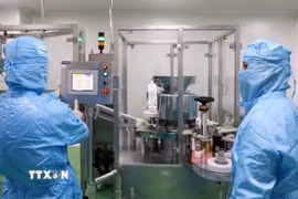 Nghiên cứu viên tại Viện Vắcxin và Sinh phẩm Y tế - Bộ Y tế (trụ sở tại tỉnh Khánh Hòa) nghiên cứu, sản xuất vaccine. (Ảnh: Xuân Triệu/TTXVN)